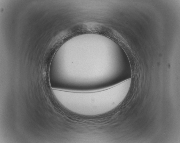 X0000085830595200703161032