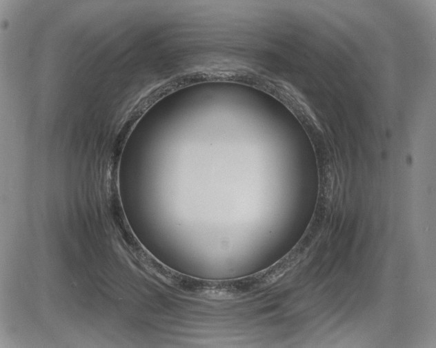 X0000085830596200703161032