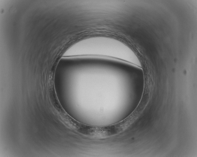 X0000085830601200703161032