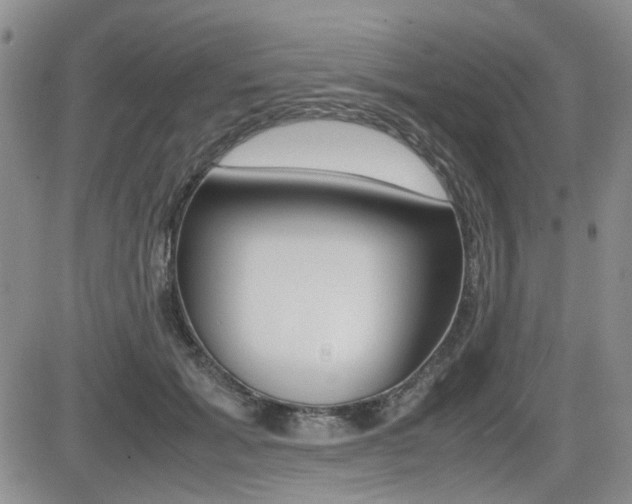 X0000085830605200703161031