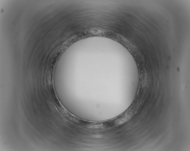 X0000085830606200703161031