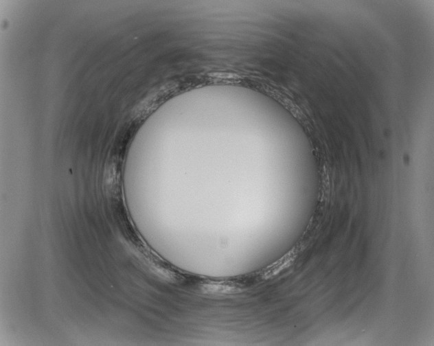 X0000085830614200703161031