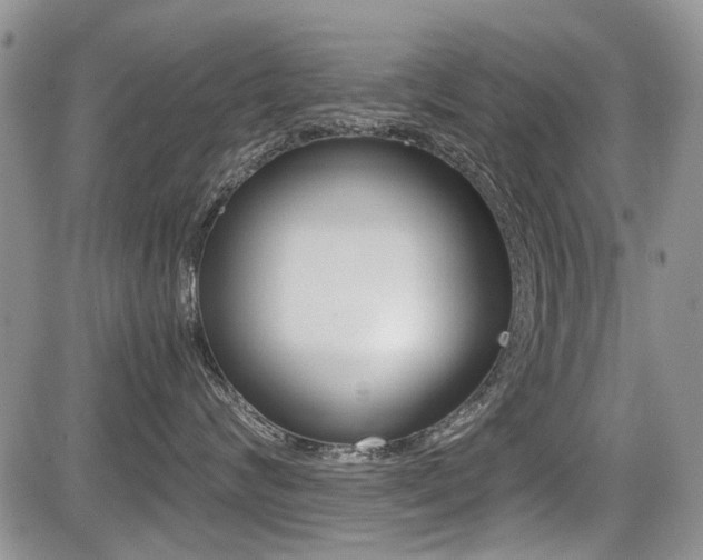 X0000085830624200703161031