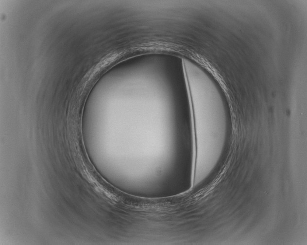 X0000085830625200703161030