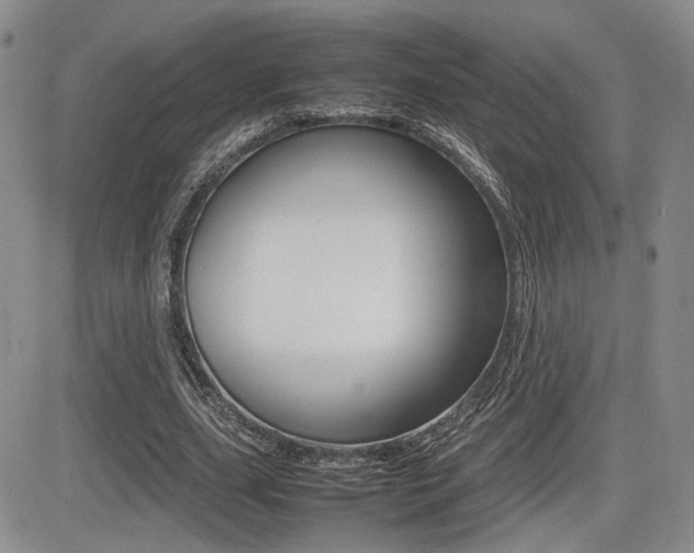 X0000085830631200703161030