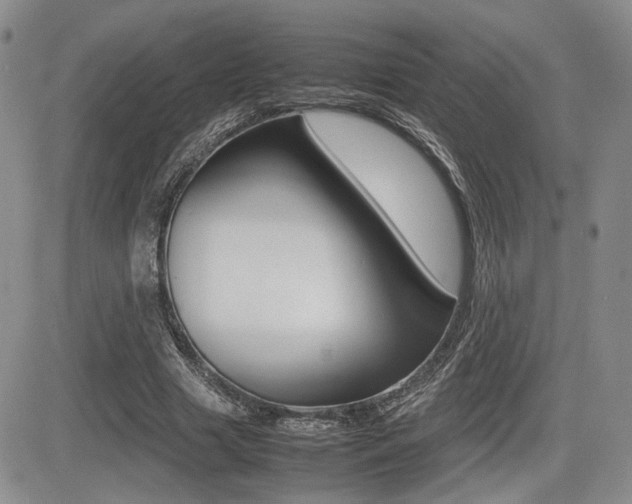 X0000085830633200703161030