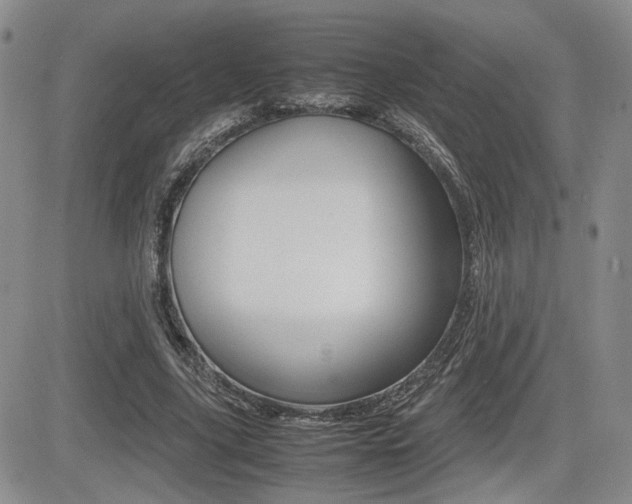 X0000085830635200703161031