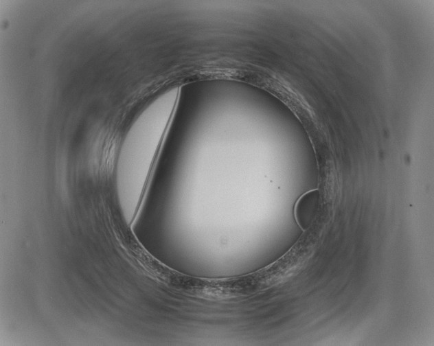 X0000085830641200703161031
