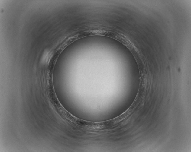 X0000085830643200703161031