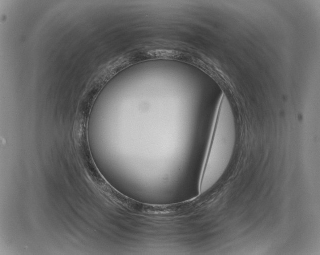 X0000085830645200703161031
