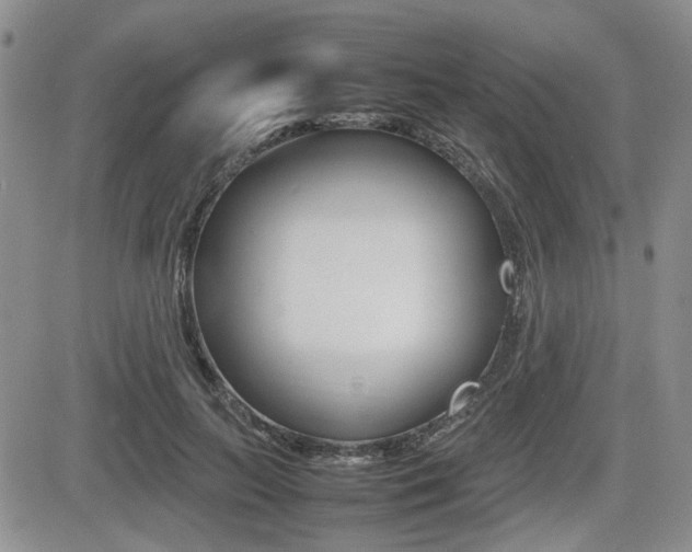 X0000085830647200703161031