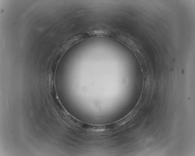 X0000085830651200703161031