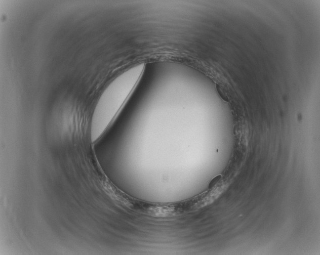 X0000085830660200703161031