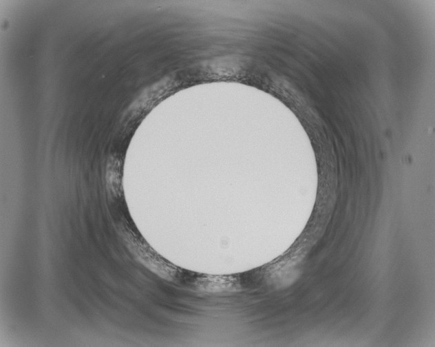 X0000085830672200703161031