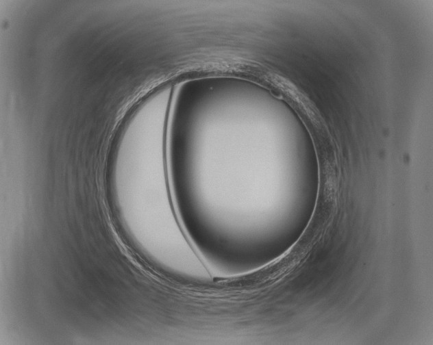 X0000085830677200703161030