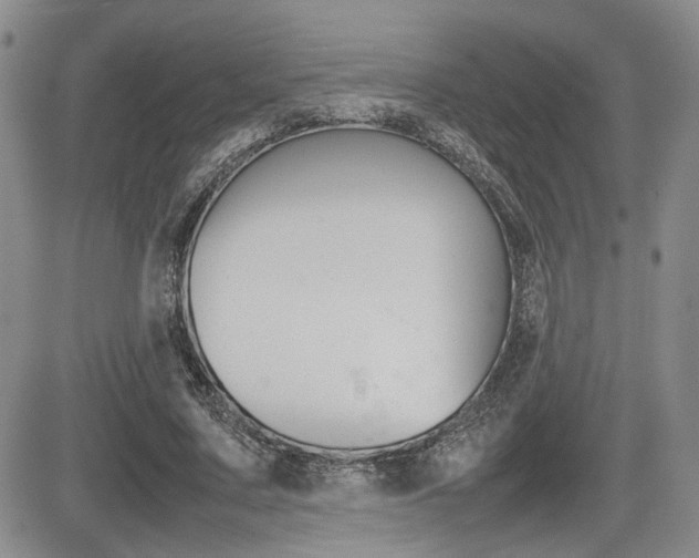 X0000085830683200703161030