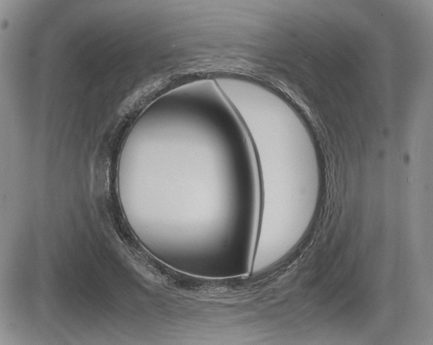 X0000085830685200703161030