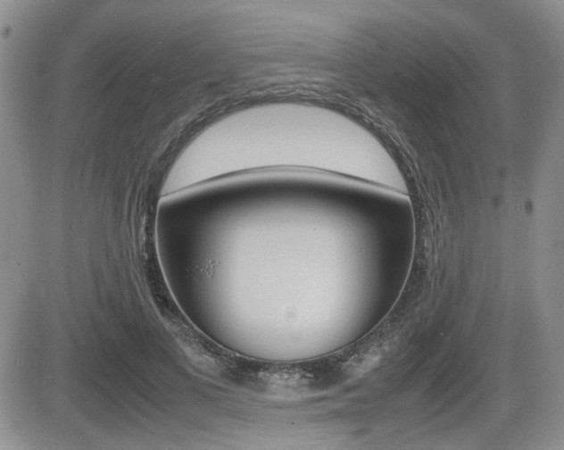 X0000085830693200703161030