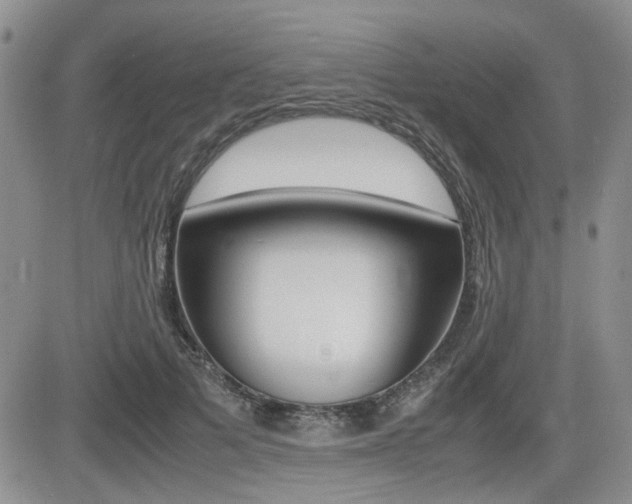 X0000085830697200703161030