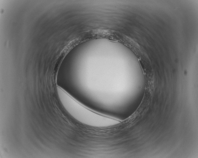 X0000085830708200703161030