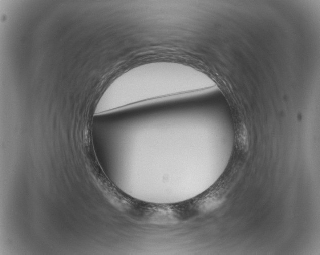X0000085830715200703161030
