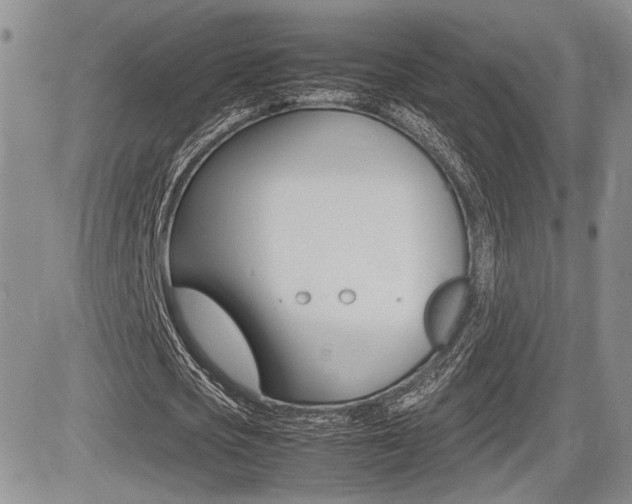X0000085830721200703161029