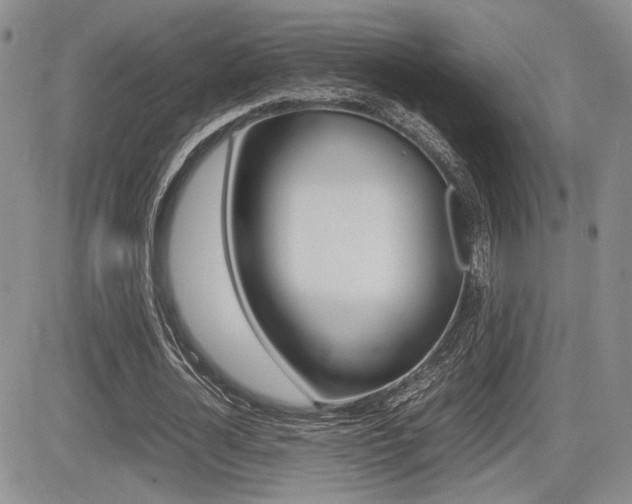 X0000085830724200703161029