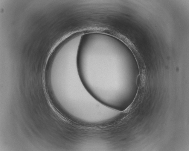 X0000085830726200703161029