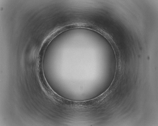 X0000085830730200703161029