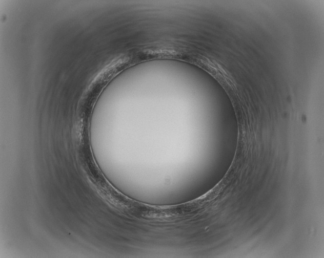 X0000085830735200703161029