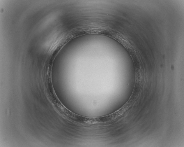 X0000085830742200703161029
