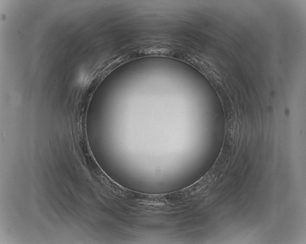 X0000085830743200703161029