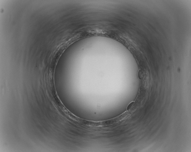 X0000085830747200703161029