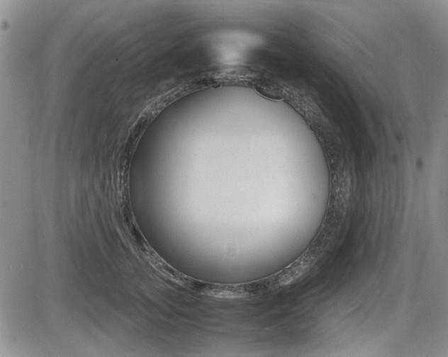 X0000085830755200703161029