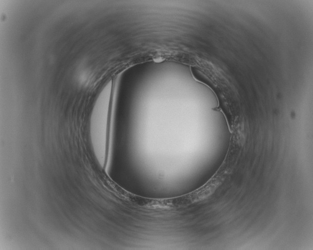 X0000085830756200703161029