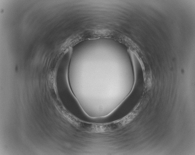 X0000085830764200703161029