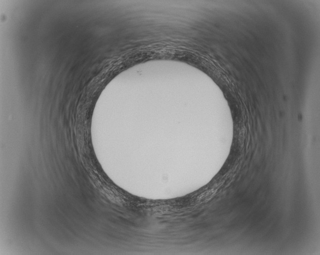 X0000085830769200703161029
