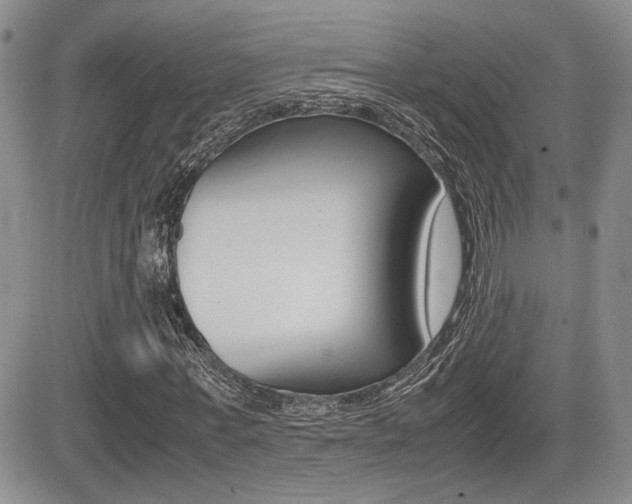 X0000085830771200703161029