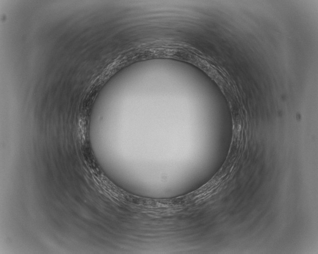 X0000085830772200703161029