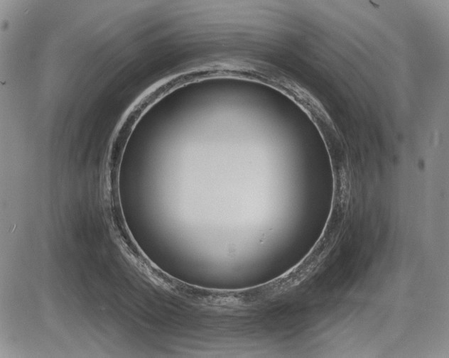 X0000085830784200703161028