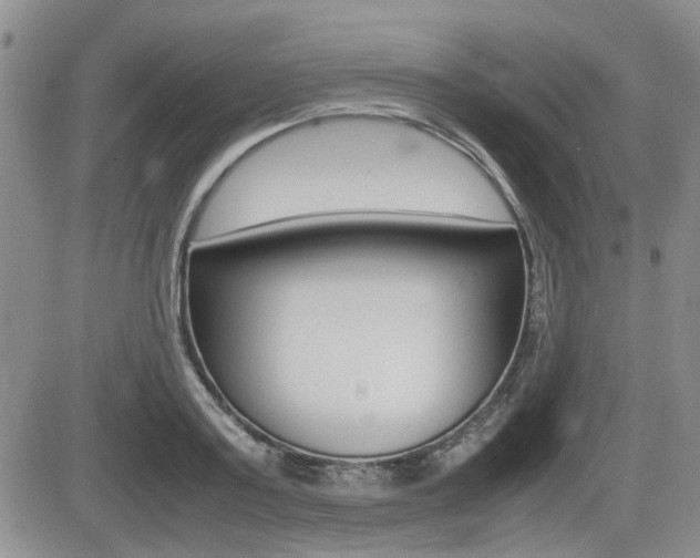 X0000085830795200703161028