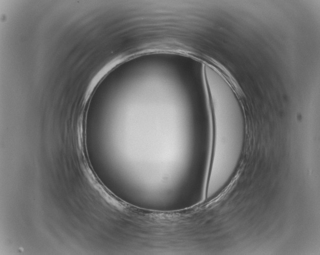 X0000085830812200703161028