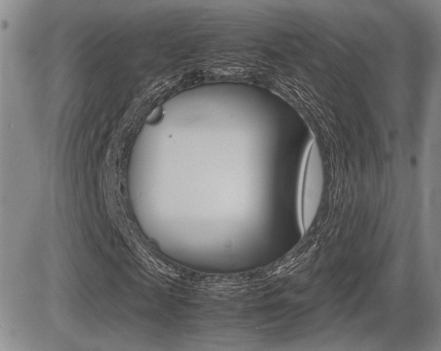 X0000085830817200703161027