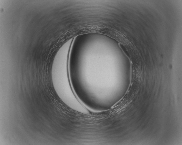 X0000085830818200703161027