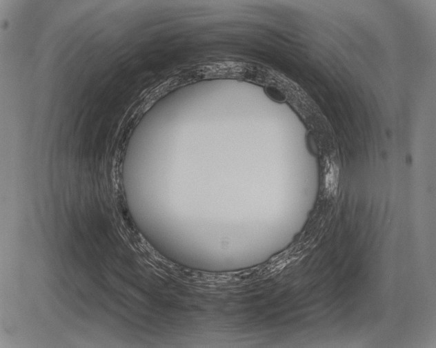 X0000085830819200703161027