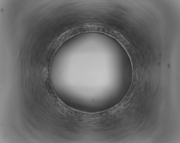 X0000085830821200703161027