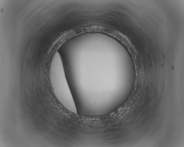 X0000085830823200703161027