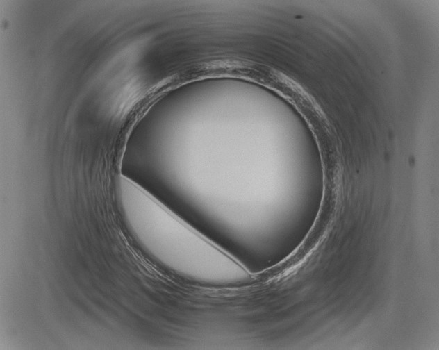 X0000085830825200703161027