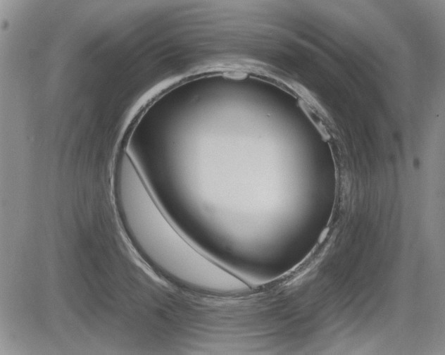 X0000085830846200703161028