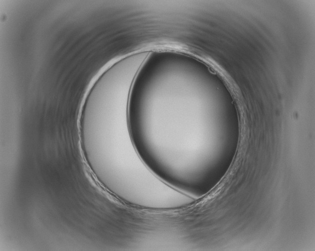 X0000085830864200703161028
